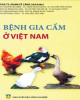 Ebook Bệnh gia cầm ở Việt Nam: Phần 2
